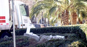 The Loyola sign on the corner of Calhoun and Freret stands in ruins after being hit by a semitrailer early Friday morning. Each letter in the sign costs $50, and physical plant has replaced about 15 letters in the last year.