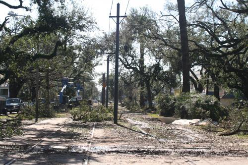 Tree limbs litter the neutral ground on Carrollton Avenue Tuesday morning after a night of stormy weather that spawned a tornado.