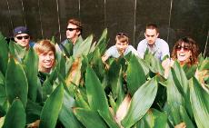 From left, Al Smalls, Reid Marin, George Stathakes, Jake Linder, Ross McIntire and Hannah Ranck hide out in the greenery in the alcove of the Maroon Library. 