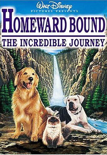 Must re-see DVD:  Homeward Bound