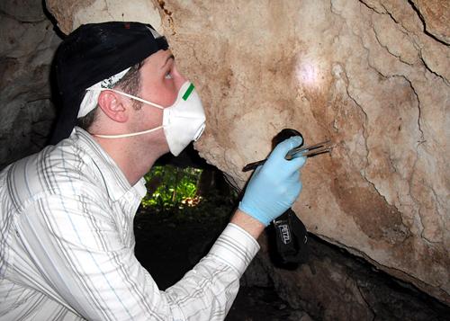 Jonathan Kurtz, A09, searches for kissing bugs during the biology departments field study in Guatemala in June. The bugs are the primary transmitters of Chagas disease.