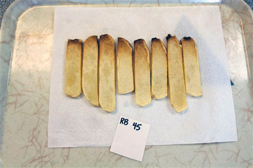 A batch of Russet Burbank french fries are pictured on a tray inside the laboratory at the University of Idaho, Kimberly Research Center on Wednesday, July 22, 2009 outside Kimberly, Idaho. McDonald's still relies on the Russet Burbank for many of its fries, although this 130-year-old potato variety often falls victim to rots and other diseases the Russet Burbank is one of the mostly commonly used potato varieties for french fries.