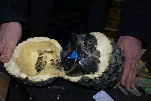 This image released by Dutch prosecution office, Wednesday, March 10, 2010, shows a plastic pineapple, stuffed with cocaine, at a fruit company in Poeldijk, Netherlands. Prosecutors say police uncovered 500 kilograms (1,100 pounds) of cocaine concealed inside plastic pineapples this week. Fruit packers called the police after discovering the strange-looking fruit among a shipment of real pineapples on Monday night. When police cut into the pineapples, they discovered packages of cocaine stuffed 