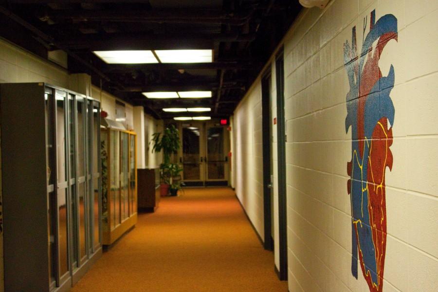 Plans are being made to renovate Monroe Hall starting in the spring semester. Although nothing is yet finalized, construction is scheduled to begin in January.