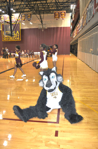 Havoc takes a rest after her attempt to please the crowd by flipping and dancing with the cheerleaders during a Friday game in the gym. Loyola is fighting to keep the Wolfpack as the school’s mascot.