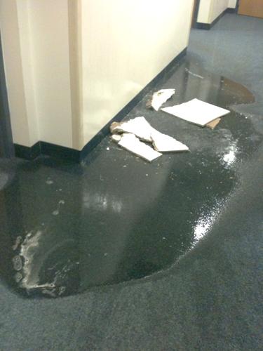 Fallen pieces of the ceiling float in a hallway after the Carrollton Hall flood. The flood resulted in residents evacuating the building for one night.