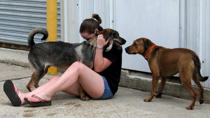 Political science senior Kristina McDowell plays with two shelter dogs at Animal Rescue New Orleans. Clubs ,such as People for Animal Welfare and Service, provide opportunities for Loyola students to care for animals.