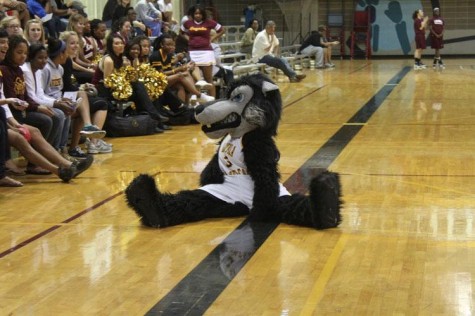 Havoc T. Wolf splits for the crowd at Havoc’s Fan Fest held Tuesday, Nov. 1. The event served as an early preview of the men’s and women’s basketball teams with a scrimmage between the starters and the bench players as well as activities including a three-point shooting contest.