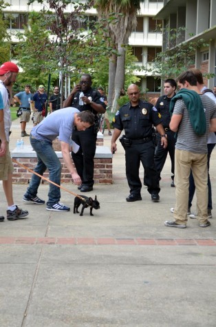 Starstruck on Jump Street