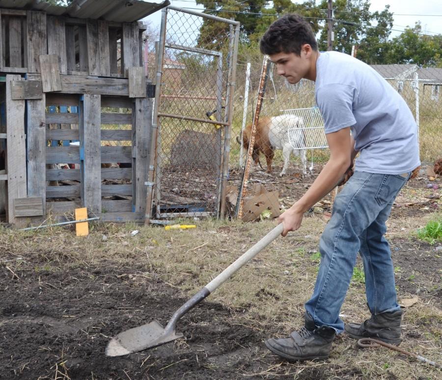Tulane student, Sam Kiyomi Turner, tends to a food crop at the Our School of Blair Grocery Farm. The school is located in New Orleans’ Lower Ninth Ward.