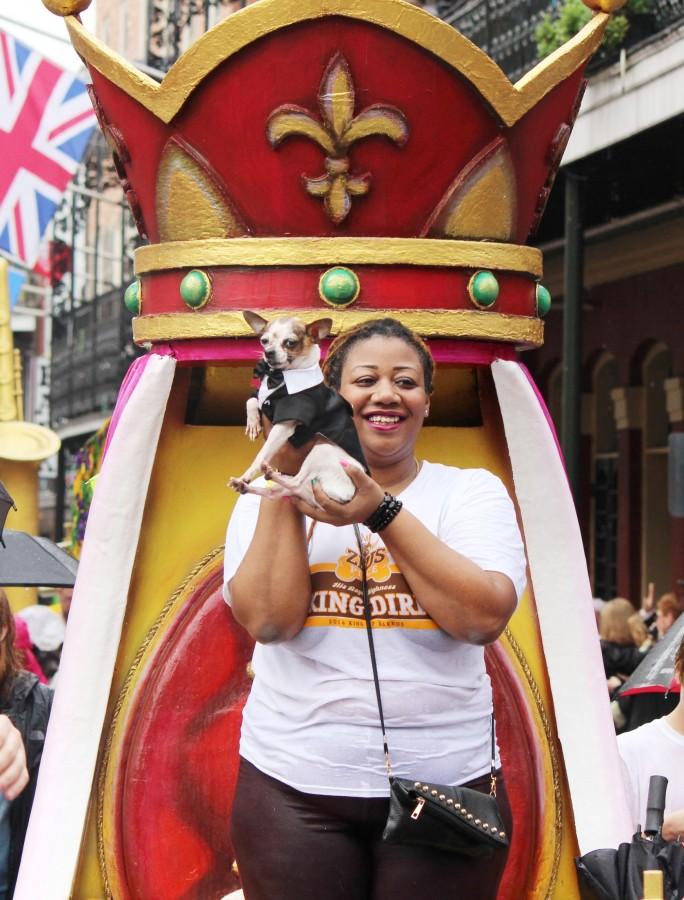 King of Barkus, a chihuahua named Dirk, paraded with his krewe through the French Quarter on Sunday, Feb. 24. The rain did not stop parade-goers from celebrating The Mystic Krewe of Barkus, with the theme “Dogzilla - Barkus Licks the Crescent City.”