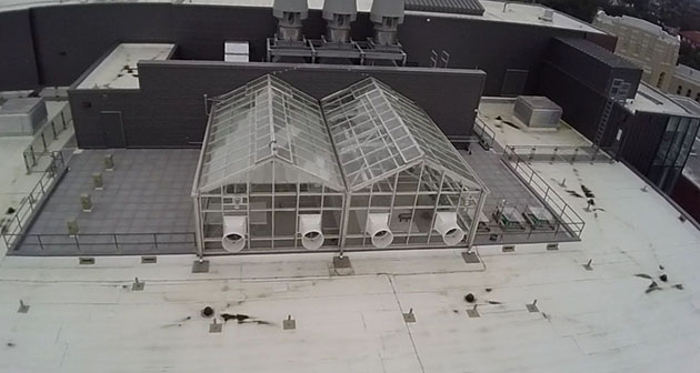 The greenhouse is located on Monroe Hall’s rooftop and is being utilized by Biology and Environmental Studies professors and students. This photo of the greenhouse was taken with the School of Mass Communication’s drone.
