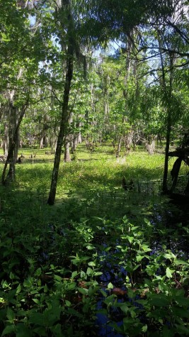 Louisiana