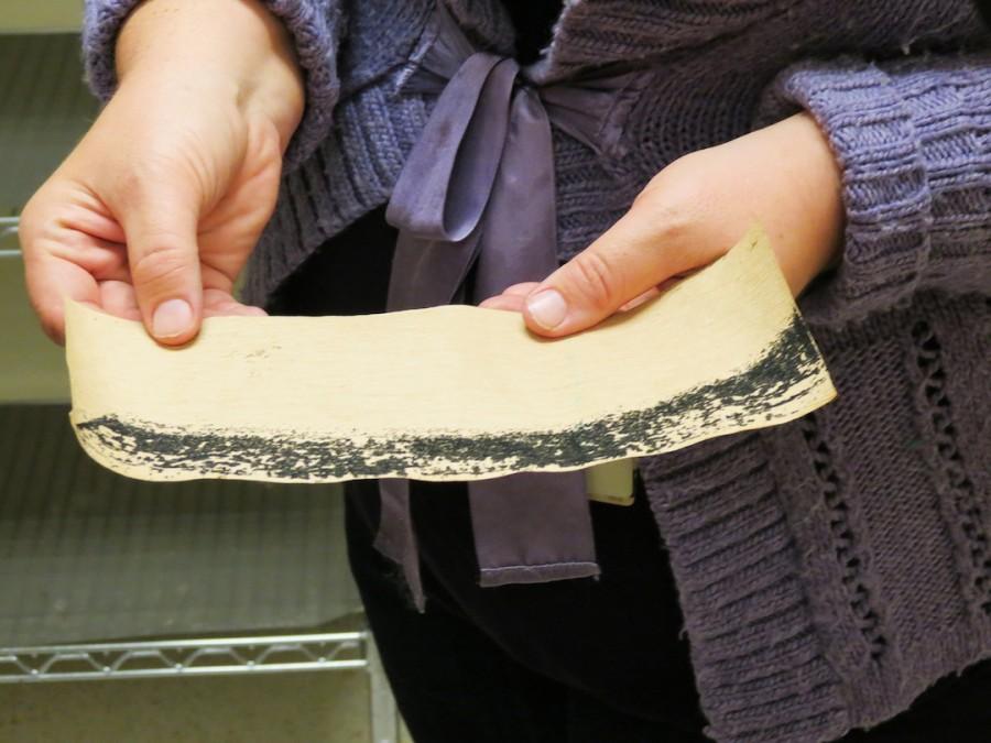 Sarah Michaels, entomologist at the New Orleans Mosquito, Termite and Rodent Control Board, holds a paper covered with mosquito eggs. Two of the species known to transmit the Zika virus are found in Louisiana.