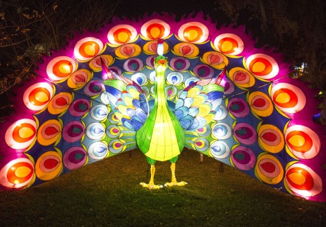 Chinese festival lights up botanical garden