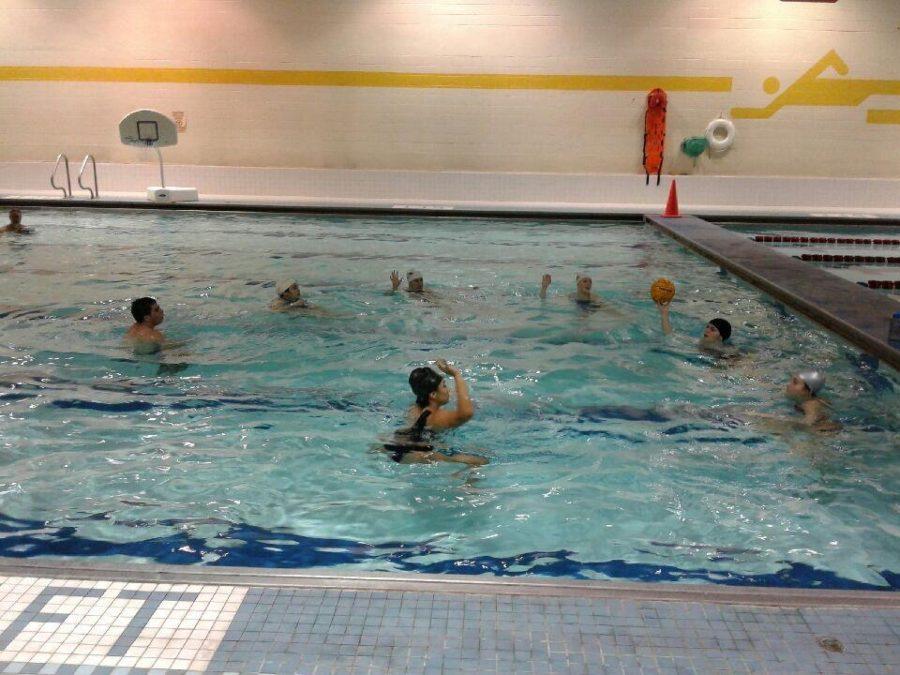 Water Polo team makes a splash in their inaugural year