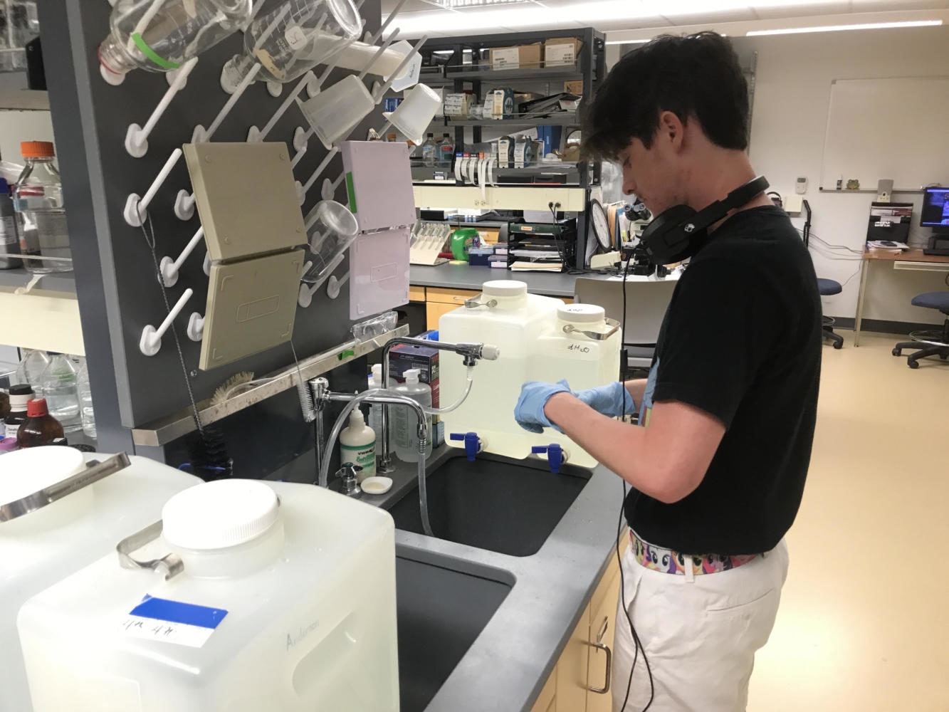 Research lab assistant William Brandt cleans equipment in the lab located on the fourth floor of Monroe Hall where Rosalie Anderson’s joint regeneration research takes place. The project involves cutting chicken embryos in the hope that research may one day help regrow human joints. Photo credit: John Casey