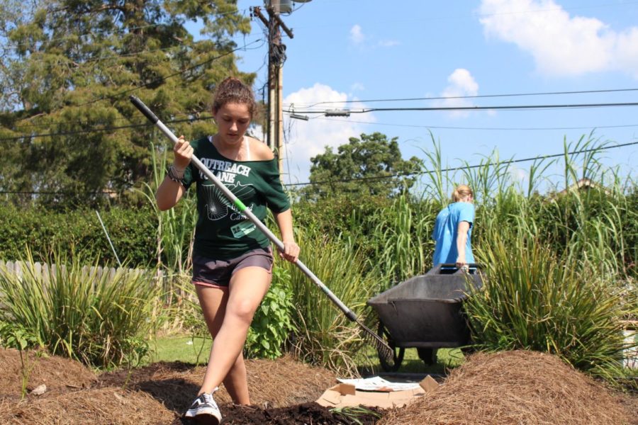 Renata Massion, Tulane University junior majoring in political economy and international development, spreads mulch between rows of crops at Samuel J. Green Charter School’s garden in uptown New Orleans. Massion works at the site through a partnership with Edible Schoolyard New Orleans, a non-profit aimed at encouraging children to make healthy connections between food and school. Photo credit: India Yarborough