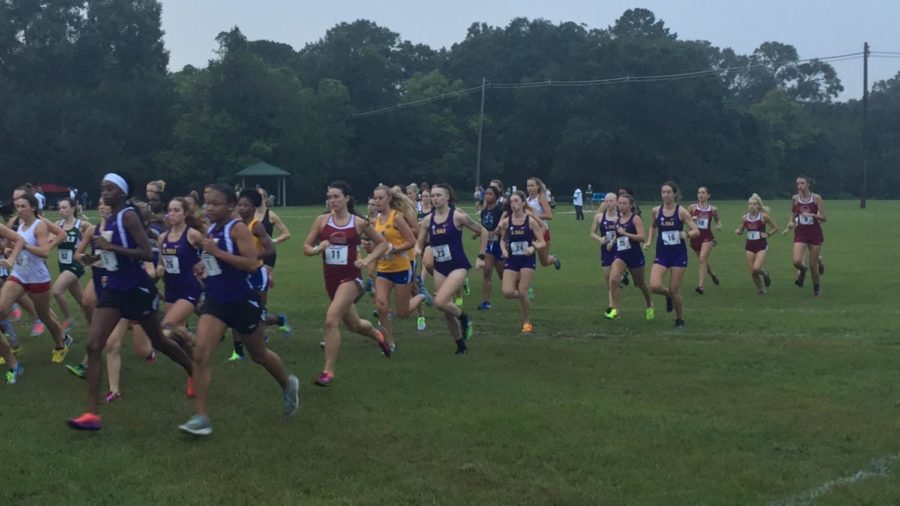 The Wolf Pack compete at the LSU Cross Country Festival in September 2017.