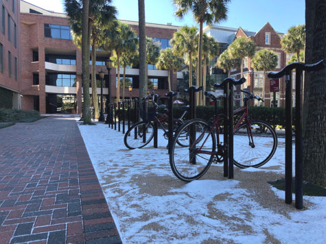 Students share their experiences and advice for dealing with unusual New Orleans weather