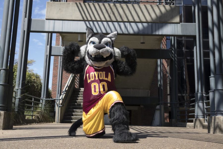 Havoc+the+Wolf+has+served+as+Loyola%E2%80%99s+mascot+since+2006+after+a+re-branding+by+the+Loyola+New+Orleans+Athletic+department.+Loyola+has+featured+a+wolf+mascot%2C+either+live+and+costumed+student%2C+since+1928.+Photo+credit%3A+Cristian+Orellana