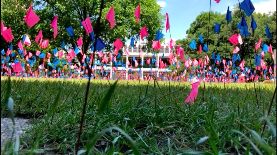 The Wolf Pack for Life student organization sponsored “Memorial of the Innocents”  Monday, April 24. This anti-abortion display included 2,000 pink and blue flags to represent the number of abortions carried out every day in the U.S. The demonstration caused controversy around Loyola’s campus as students voiced their opinions. Photo credit: Anna Knapp