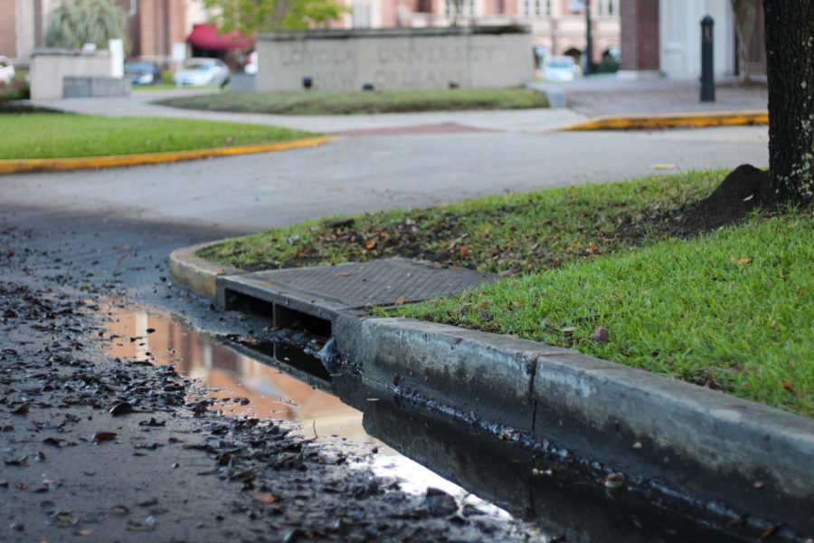 A catch basin on St. Charles Ave. near campus sits next to still water. Mayor Cantrell looks to New Orleans communities to help clean the catch basins. Photo credit: Cristian Orellana