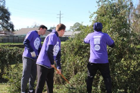 Local universities unite for MLK Day of Service