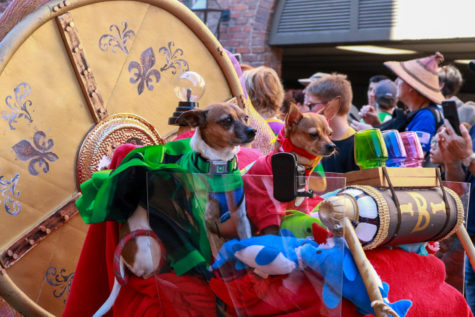Barkus was full of bite