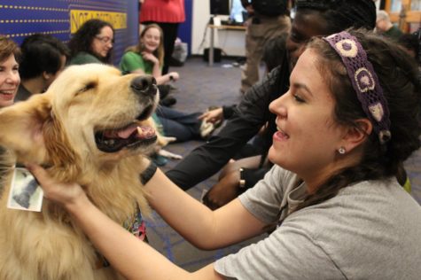 Therapy dogs help students pawspurr during midterms