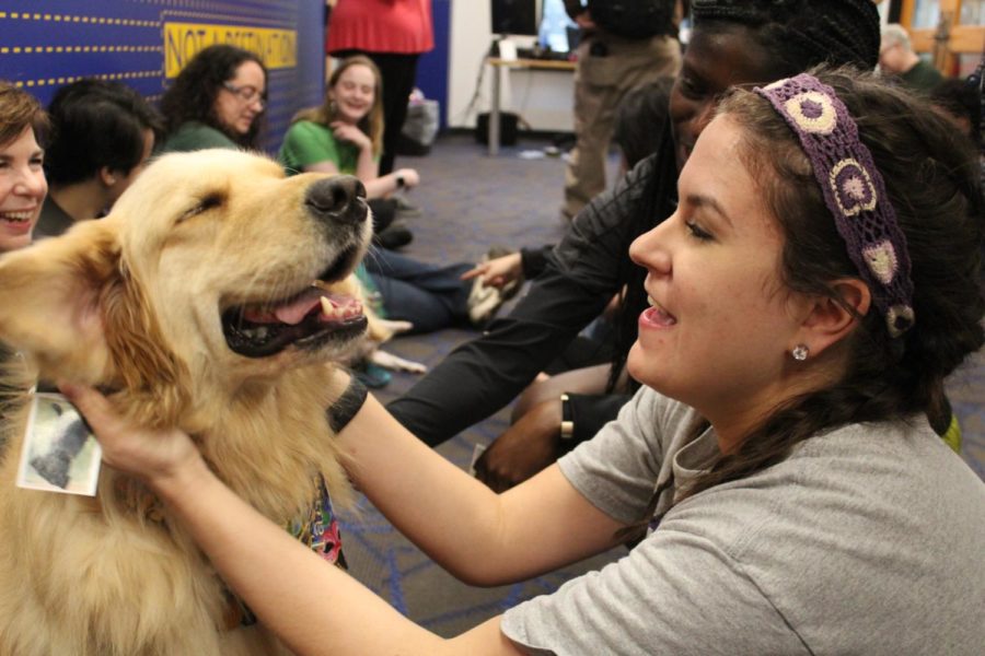 Tallulah%2C+a+dog+from+the+Visiting+Pet+Program%2C+enjoys+an+ear+rub+from+a+Loyola+student+during+her+visit+to+the+Student+Success+Center.+Photo+credit%3A+Rose+Wagner