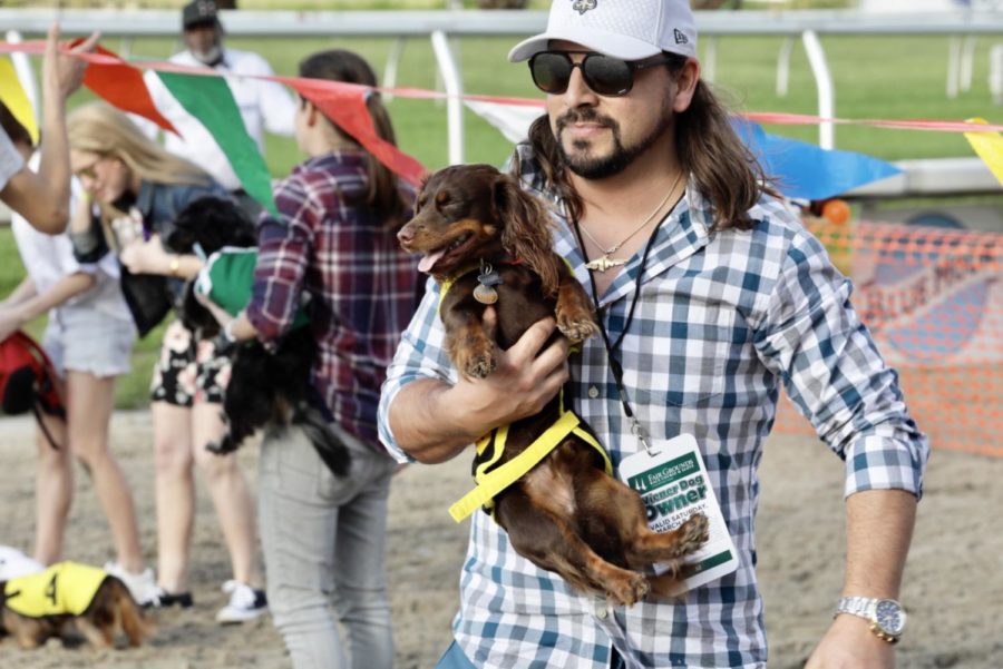 An owner picks up his dog after a race. Some dogs underwent diets and intensive fetch exercises to train for the race.