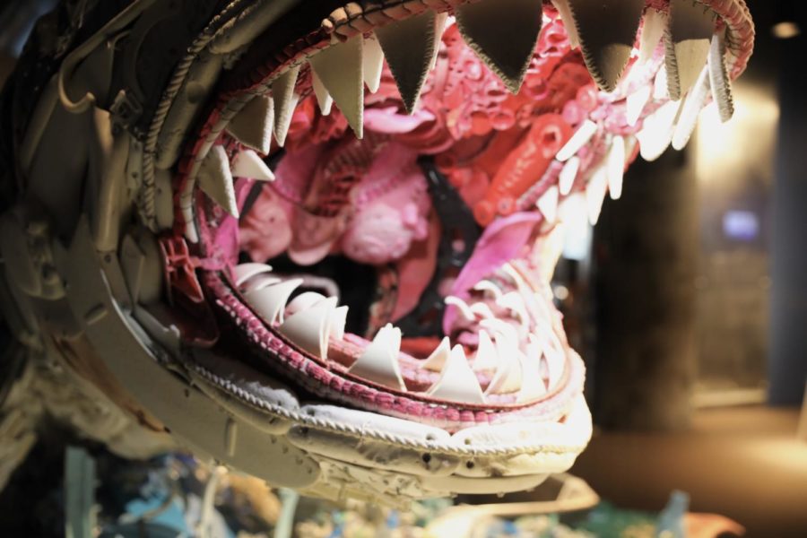 A toilet seat and other litter make up the sculpture of a Great White Shark. Featured sculptures were made up of litter. Photo credit: Andres Fuentes