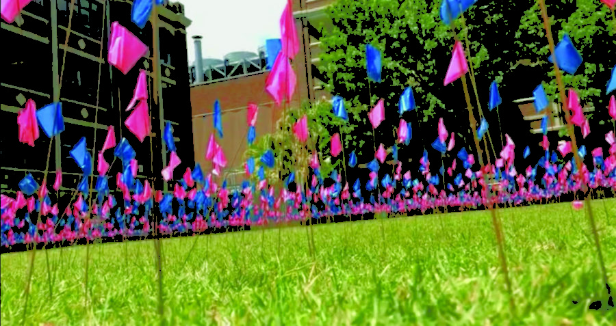 2,000 blue and pink flags wave in the Peace Quad as part of Wolf Pack for Life’s display to spread awareness of the number of abortions carried out each day in the U.S. on April 23, 2018. When the display showed up on campus, it was the source of much controversy. Photo credit: Anna Knapp