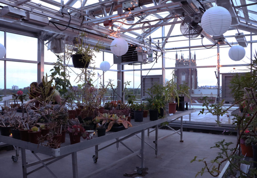 The greenhouse located on the roof of Monroe Hall sits lit with fairy lights on April 23. Photo credit: Hannah Renton
