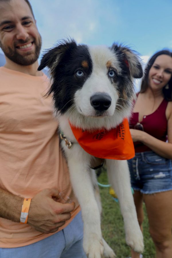 web.beer.dog.jpg