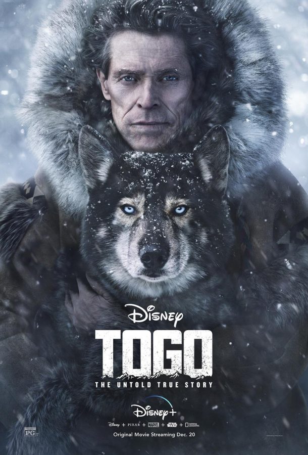 The poster for the film Togo. The poster shows the main character holding the titular dog.