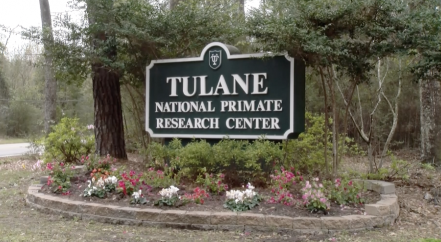 Outside+the+Tulane+National+Primate+Research+Center+where+researchers+are+working+to+develop+a+treatment+for+Coronavirus.+It+could+be+up+to+a+year+before+a+vaccine+is+developed.+Photo+credit%3A+Tess+Rowland
