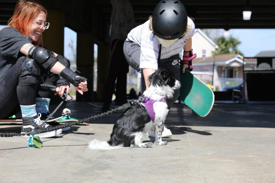 Two skateboarders take a break from skating to pet a dog at Parisite DIY Skatepark. Skateboarders like these find a community at skate parks.