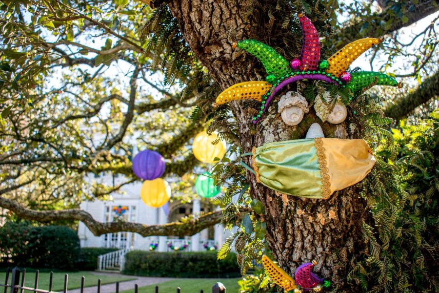 Mardi Gras decorations featuring a face wearing a COVID mask adorns an oak tree on St. Charles Avenue Jan. 22, 2022.