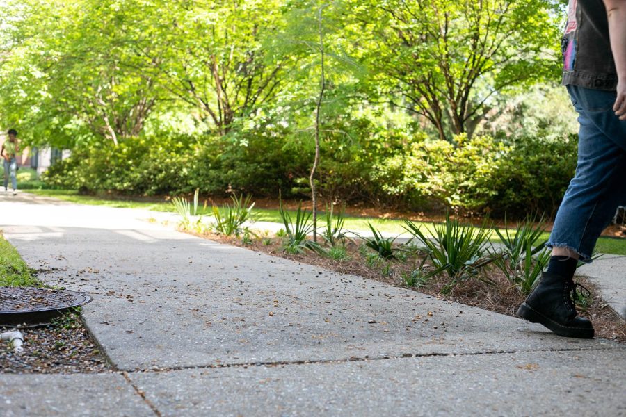 A student walks past a newly built bioswale outside the Danna Center on May 3, 2022. A bioswale was built by the university and SGA sustainability committees to address flooding.