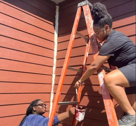 A student on a ladderdips a brush into a paint bucket held up by another student while volunteering.
