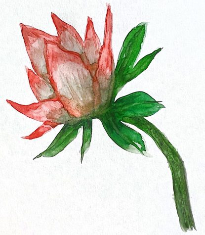 A drawing of a flower.