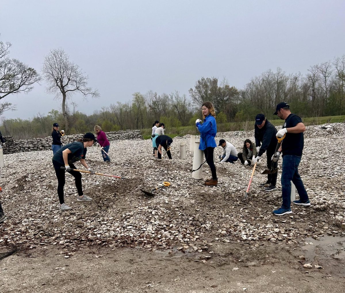 Grace Nolan, program coordinator, leads team in shoveling and bagging oyster shells on March 2, 2024 with the Coalition for Restore Coastal Louisiana. The event works to combat rapid coastal erosion on Louisianas shore. 