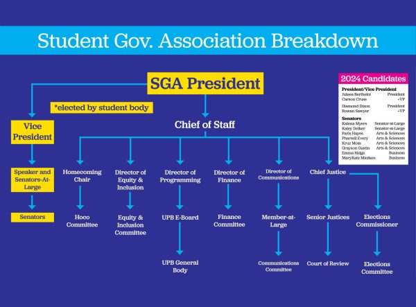 Chart showing the hierarchy of SGA.