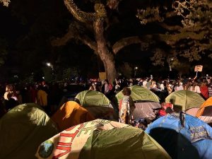 Pro-Palestine encampment persists into the night on Tulanes front lawn