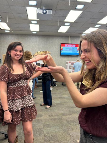 Farah Wells, Program Coordinator for the Center for Entrepreneurship and Community Development holds a reptile from breeding business Katamaran Reptile Ranch by Kat Lee. Courtesy of Sam McCabe.