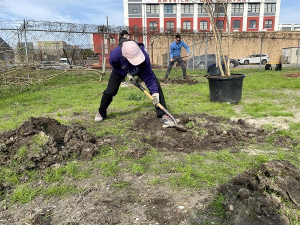 SOUL volunteer Anna Hernandez works hard shoveling dirt in Mid-City on Jan. 20, 2023. SOUL has made strides to reforest New Orleans. 