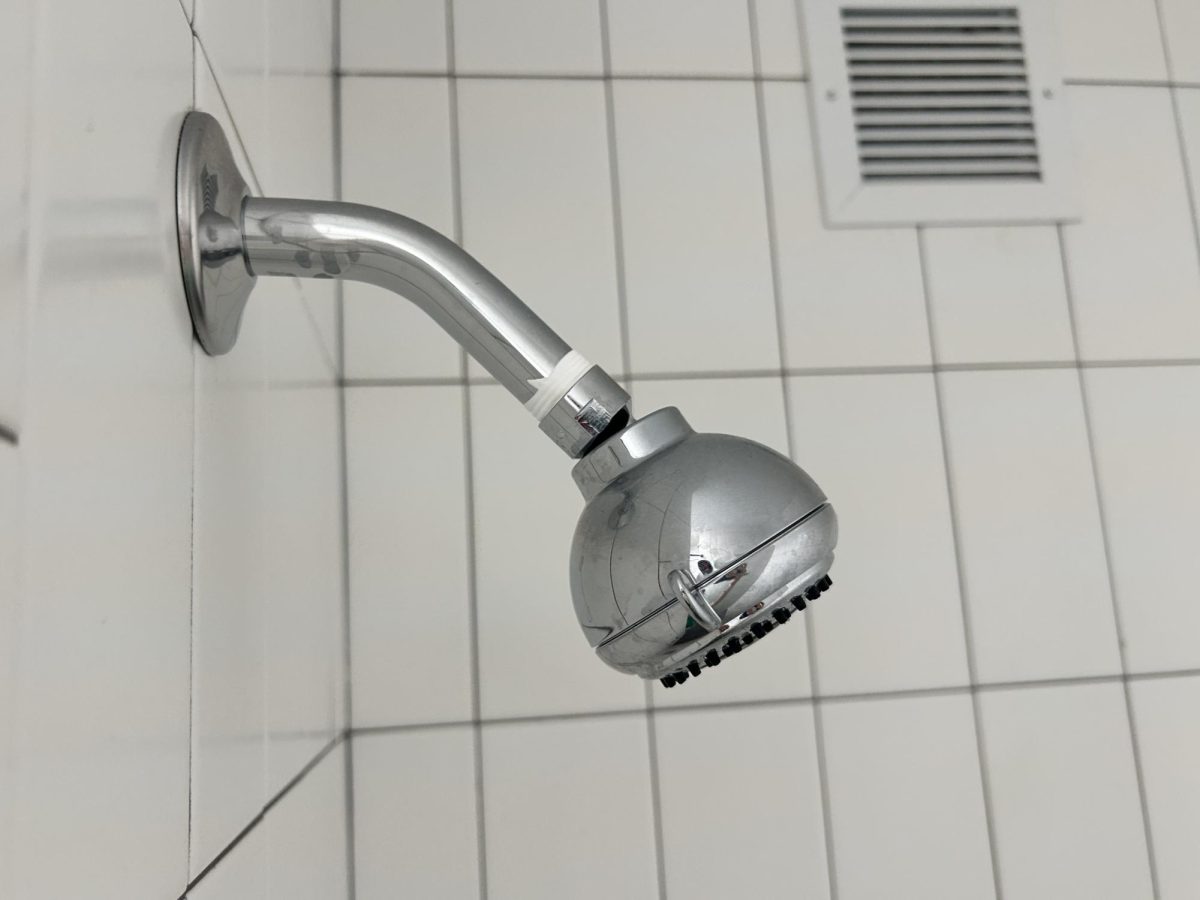 Photo of Loyola shower-head. 
