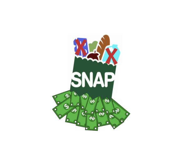 SNAP illustration by Gabrielle Conway.